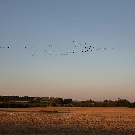 Mitten In Der Natur : Ferienwohnung Mit 3 Schlafzimmern, Neu Eingerichtet Neu Gaarz 外观 照片