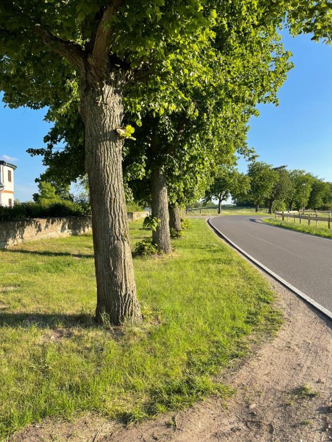 Mitten In Der Natur : Ferienwohnung Mit 3 Schlafzimmern, Neu Eingerichtet Neu Gaarz 外观 照片
