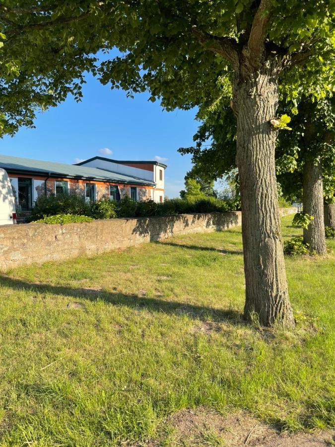 Mitten In Der Natur : Ferienwohnung Mit 3 Schlafzimmern, Neu Eingerichtet Neu Gaarz 外观 照片
